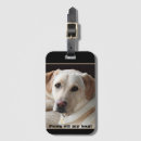 Search for retriever travel accessories Yellow lab