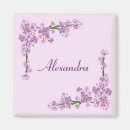 Search for blossoming magnets Elegant