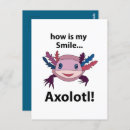 Search for cute salamander postcards Pet