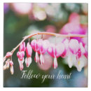 Search for ceramic photography Floral