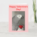 Search for parrots valentines day cards Red