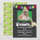 Search for afghans cards invites Afghan hounds