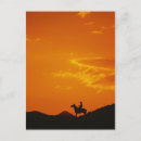 Search for orange horse postcards Horses