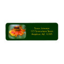 Search for orange daisy return address labels Yellow