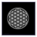 Search for crystal healing posters Meditation