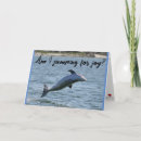 Search for funny dolphin cards Photography