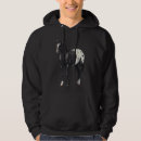 Search for blanket hoodies For him