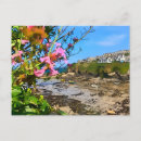 Search for doc postcards Cornwall