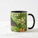 Search for baby hedgehog mugs Nature