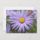 Search for flower blessings postcards Faith