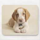 Search for dog tag mousepads Photography