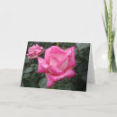 Search for 2 tone cards White