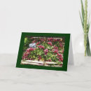 Search for market cards Vegetable