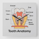 Search for anatomy art Chart