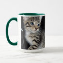Search for moggy mugs Kitten