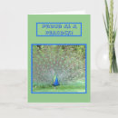 Search for spread photography Peacock