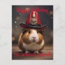 Search for cavy postcards Pig