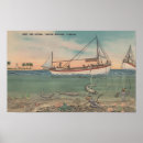 Search for tarpon posters Lantern