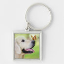 Search for butterfly dog key rings Dogs