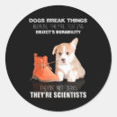 Search for adorable dinosaur stickers Cute