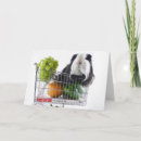 Search for guinea pig cards Pet