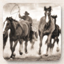 Search for chasing photography Animals