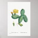 Search for vintage cactus posters Cacti
