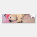Search for sleeping bumper stickers Cute