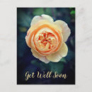 Search for get well soon postcards Elegant
