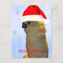 Search for cockatoo christmas cards Merry