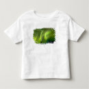 Search for sherry tshirts Green