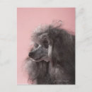 Search for looking away postcards Animal