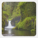 Search for gari stickers Usa
