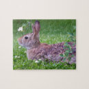 Search for bunny rabbit puzzles Rabbits
