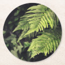 Search for green fern coasters Foliage