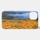 Search for california poppy iphone cases Nature