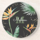 Search for paradise coasters Foliage
