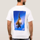 Search for f 15e Eagle