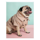 Search for vintage dog posters Pet