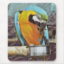 Search for macaws mousepads Pet
