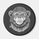 Search for chimpanzees magnets Cute