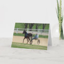 Search for racing photography Standardbred