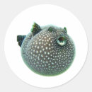Search for puffer fish stickers Blowfish
