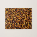 Search for worm puzzles Halloween