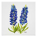 Search for bluebonnets posters Blue flowers