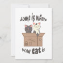 Search for funny cat thank you cards Cats