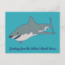 Search for blue shark postcards Great white shark