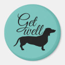 Search for haired magnets Dachshund