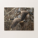 Search for flying geese puzzles Waterfowl