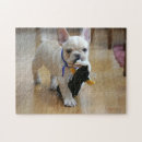Search for christmas dogs puzzles French bulldog